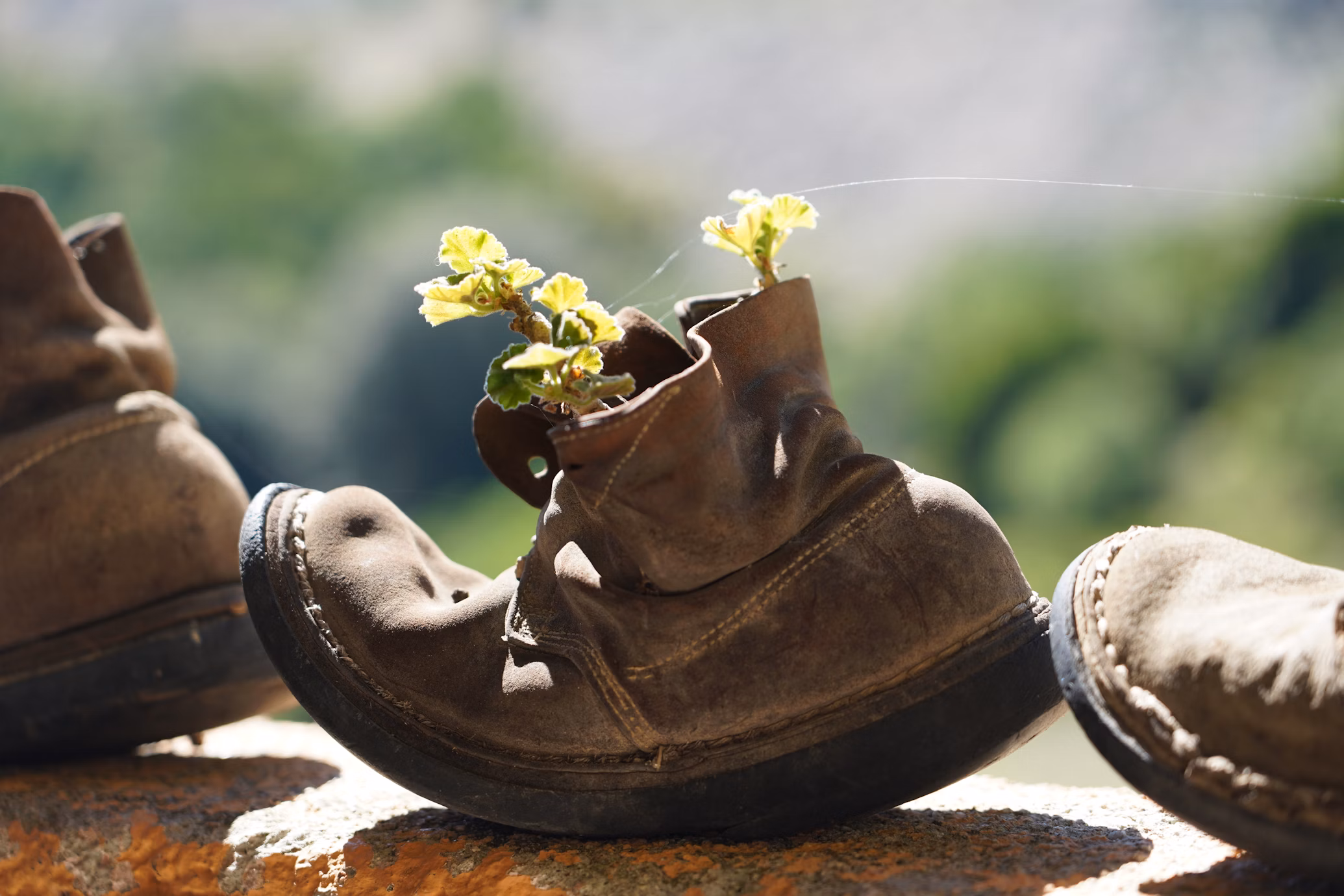 About Us 1 About Us -Step Ease Shop photo 1585394504959 e0576a8cb381